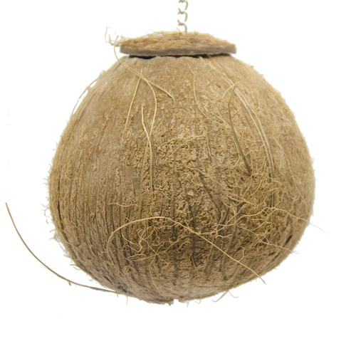 Parrot Coconut Shell Nest, Coconut Shell Nest, Hamster Honey Badger Breeding Nest, Cockatiel Nest Bird's Nest, Small Bird Nest