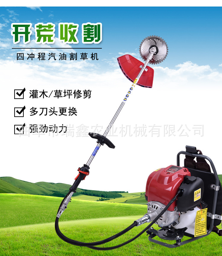 51c43712814adf1ac229369acd691d