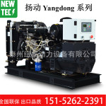 30kw扬动Y4102D发动机配纽泰电机静音发电机组价格及参数