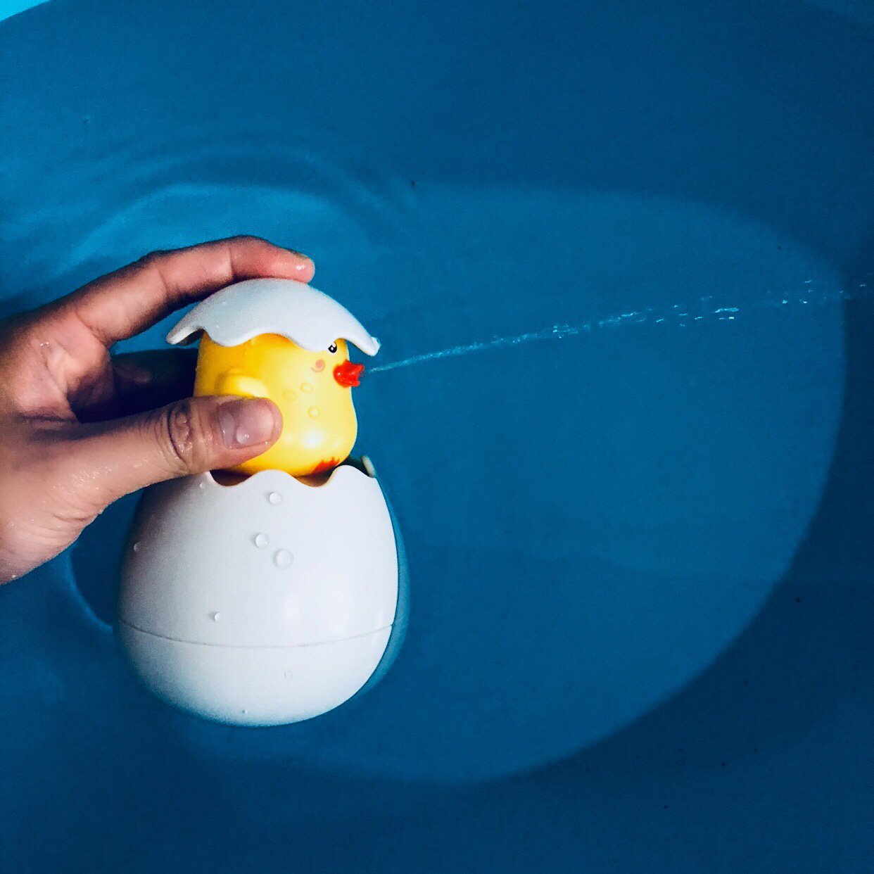 9122764212_2007353440