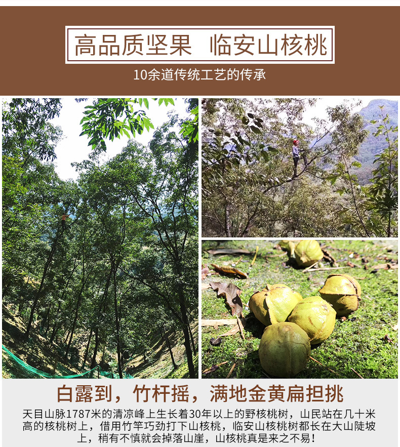 山核桃内页_05.jpg