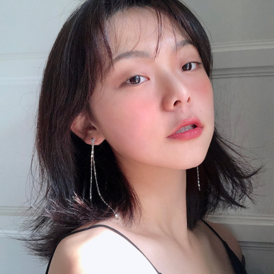 s925银针韩式两用后挂式长款链条耳钉ins简约百搭闪钻链条耳环095|ru