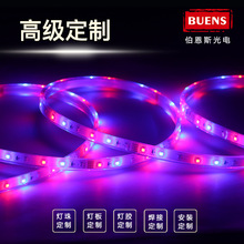加工定制LED贴片灯带低压柔性光条霓虹广告婚庆节日造型装饰灯牌