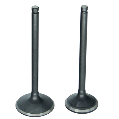 exhaust valve, Valves and components
