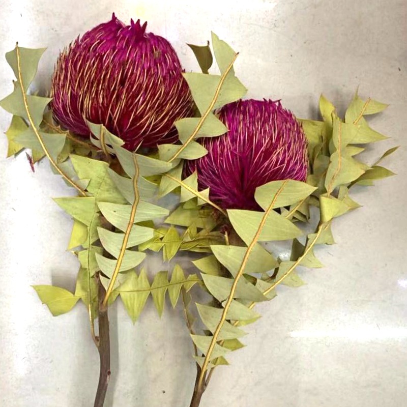 微信图片_20190826222302