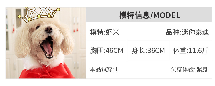 北欧系海星毛衣模特试穿-虾米