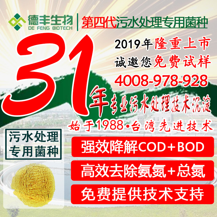 【台湾德丰31年】污水处理菌种硝化反硝化复合细菌 COD氨氮降解|ms
