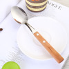 Tableware stainless steel, set, dessert spoon