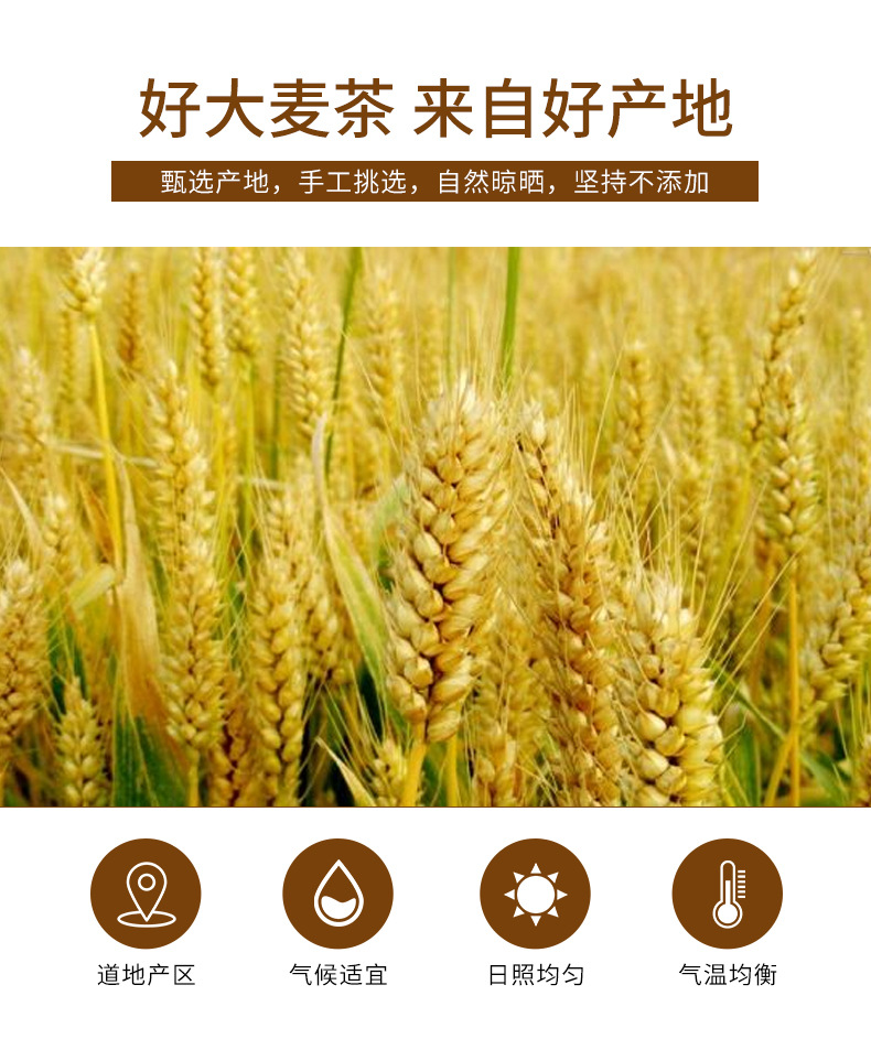 Roasted Barley Tea (Hordeum vulgare) — 450g Jar, Unsweetened Chinese Da Mai Cha key features