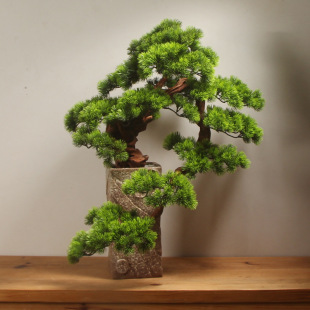 Новая китайская в стиле гостя Pine Rhododendron Croot Carging Bonsai zen чайная комната