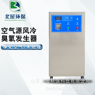 廠家直銷移動式風冷臭氧發生器BWL-AF-20G銀行臭氧消毒機水處理