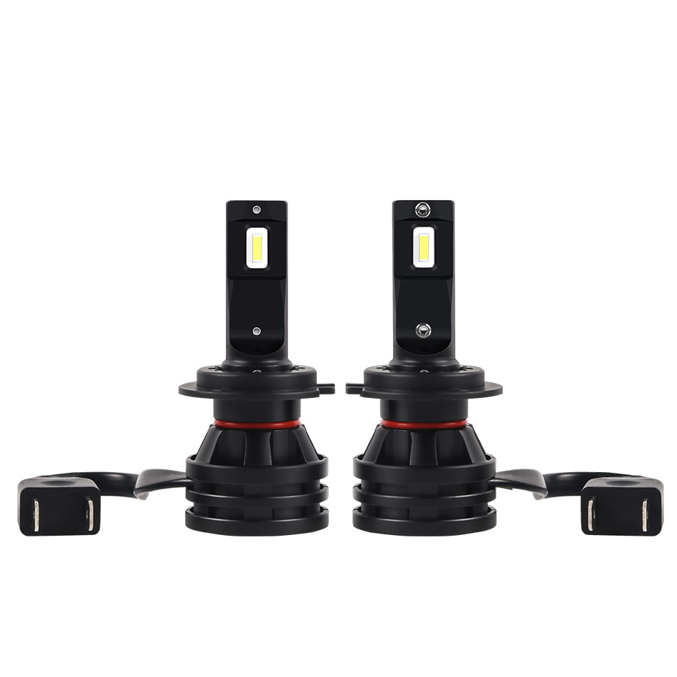 Automotive-light-bulbs-12V-900