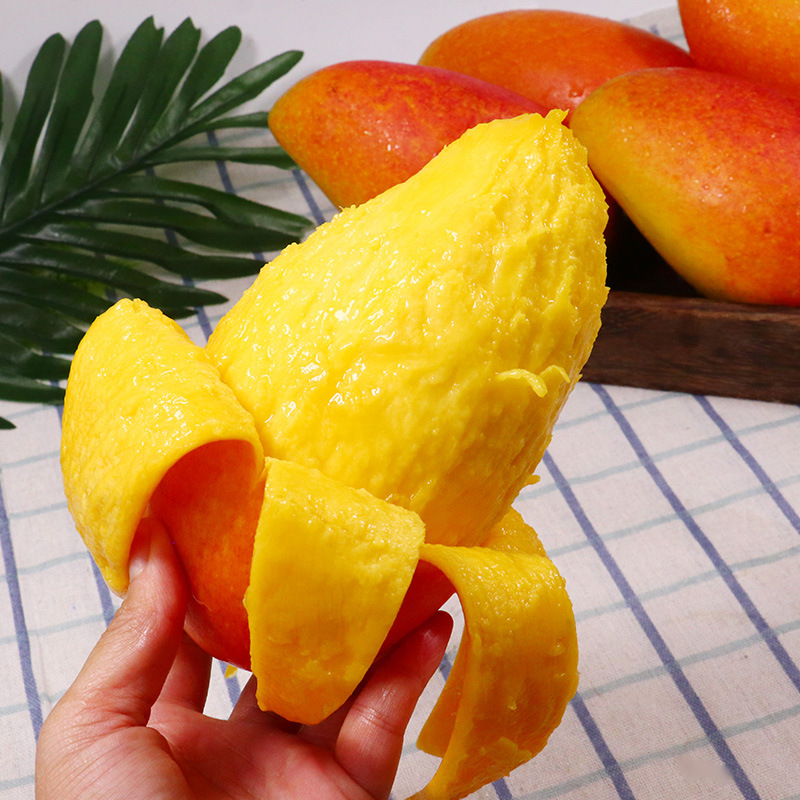海南贵妃芒9斤 应季新鲜水果红金龙芒果甜心青芒树上熟贵妃芒|ms