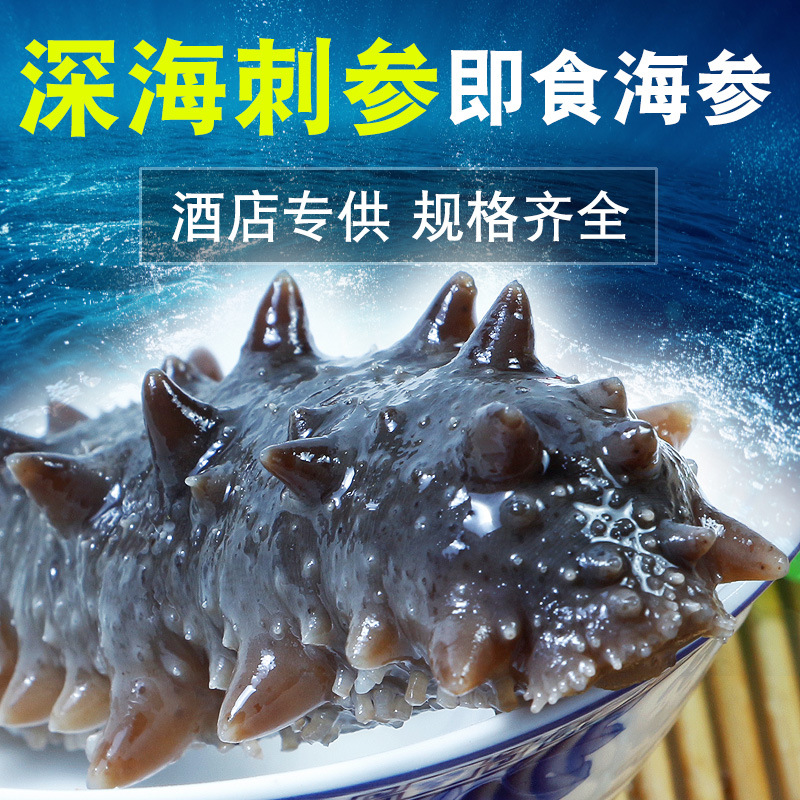 海芝屋大连冷冻即食海参500克装批发|ms