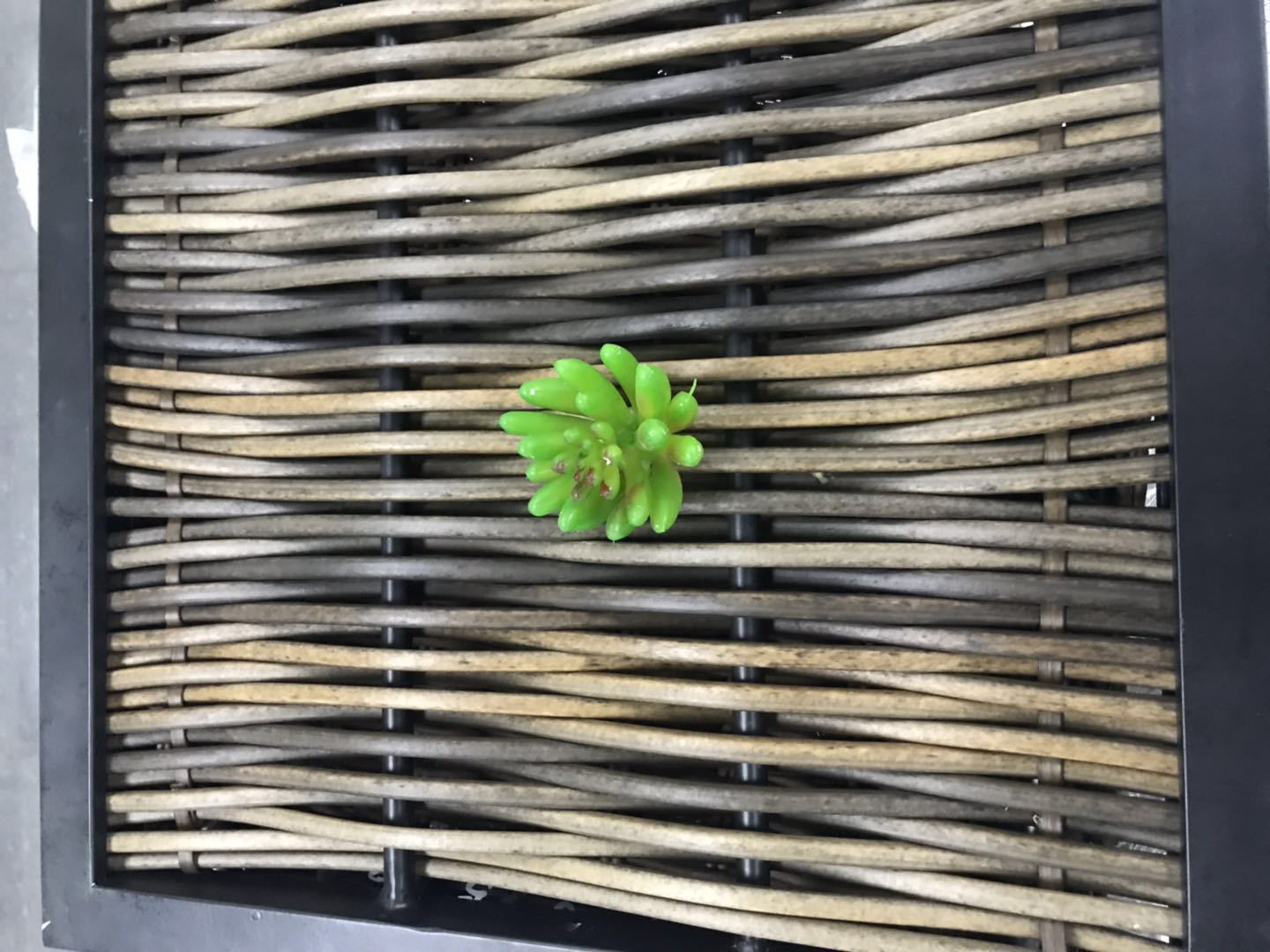 [塑料挤出机]厂家直销高速仿藤机 仿藤押出机 各种形状藤条可定制