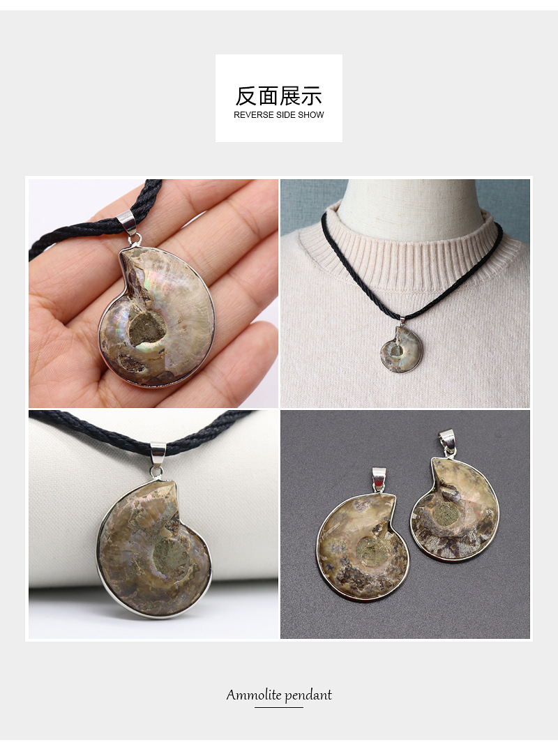 Retro Snail Fossil Pendant Necklace Wholesale display picture 9