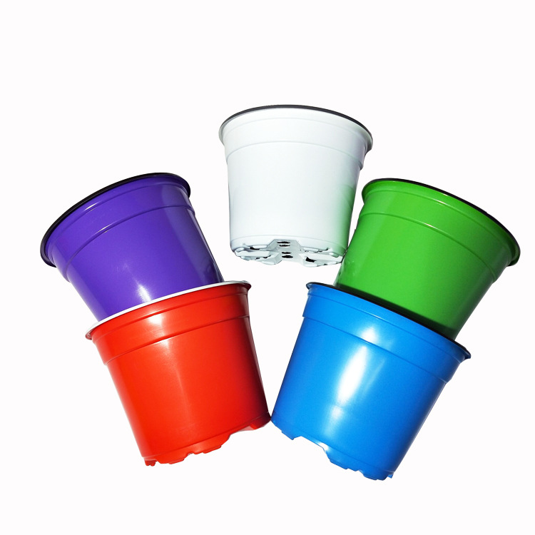 微信图片_20190613161601