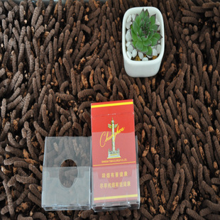 ���ϟ����� �㟟չʾ�� �㟟�� ��ƴ�� ٛƷ