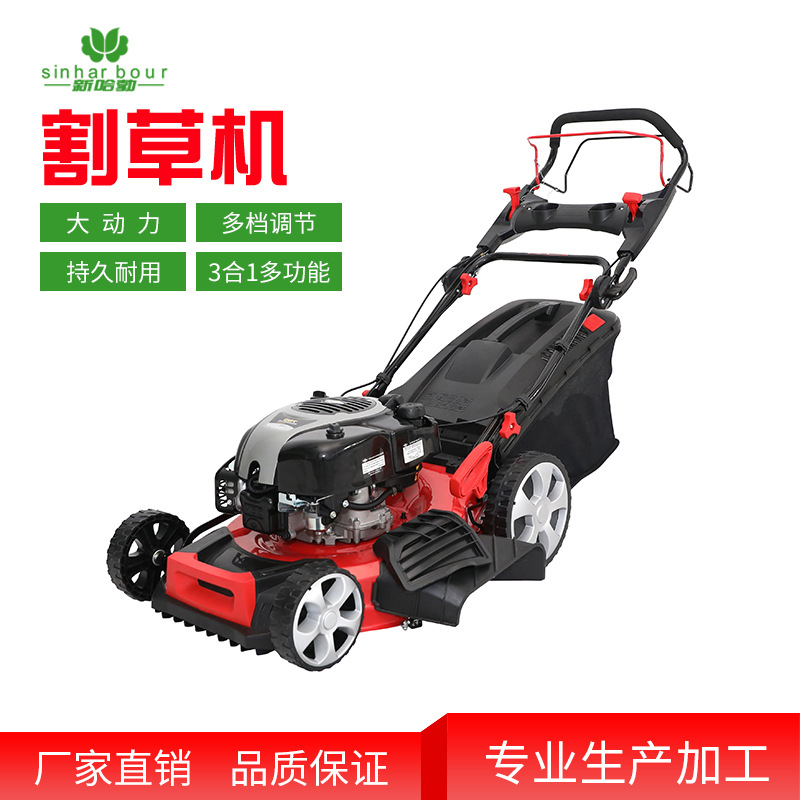 百利通20寸高配自走式剪草机 小型家用草坪割草机 农用汽油打草机