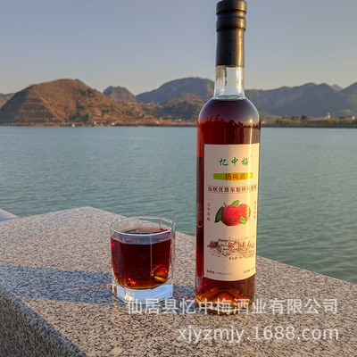 批發仙居東魁楊梅酒小玻璃瓶口杯紅酒女士低度梅子酒青梅酒果露酒