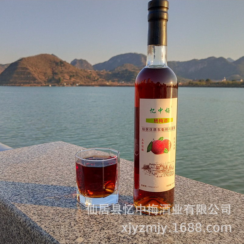 批發仙居東魁楊梅酒小玻璃瓶口杯紅酒女士低度梅子酒青梅酒果露酒