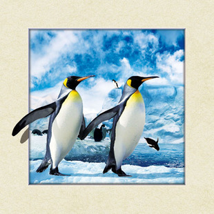 ӡˢ�S�ң��������S3D��Ů��������OӋ5D���w��