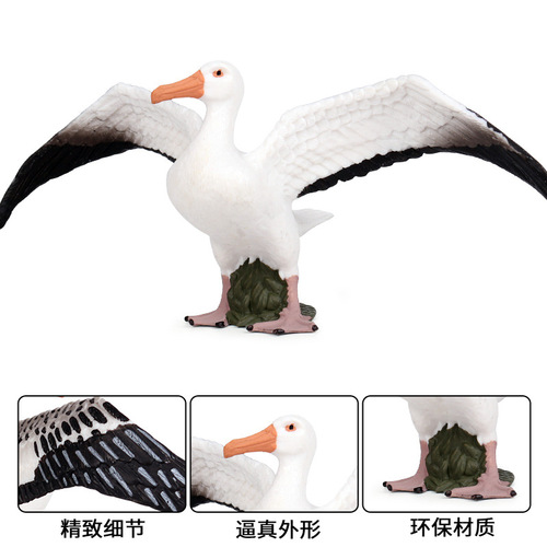Simulated static wildlife world model, solid bird model, albatross children's plastic toy ornaments