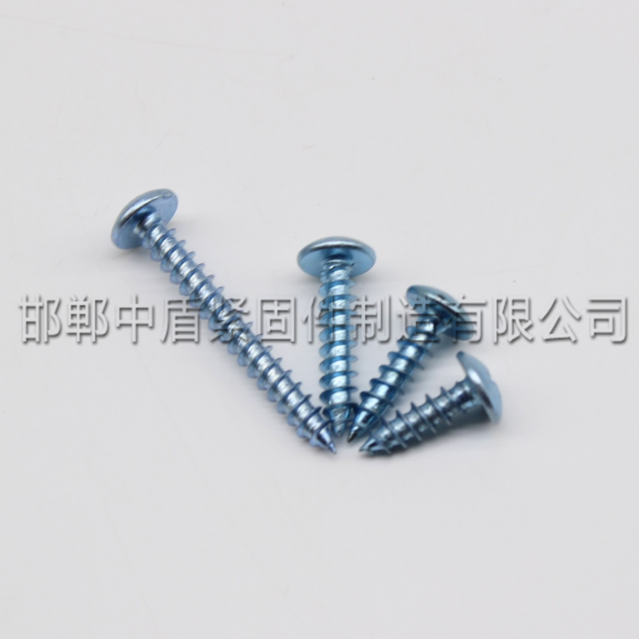 大扁頭自攻螺絲_conew1