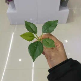 仿真植物仿真花叶配件 胶布梅花叶 植物墙把束布料编织袋过胶布叶