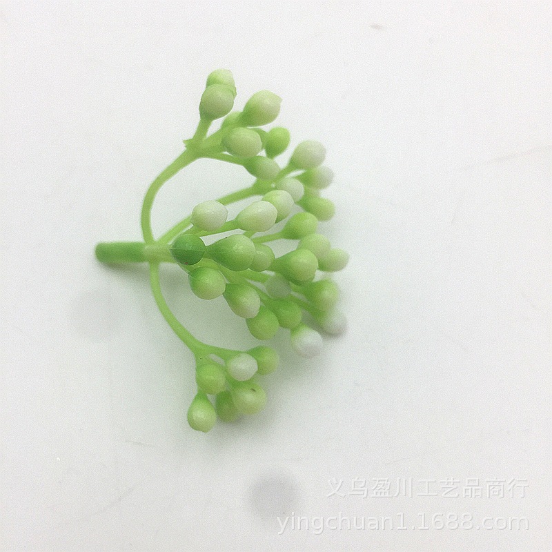 2019-07-20 083915.jpg