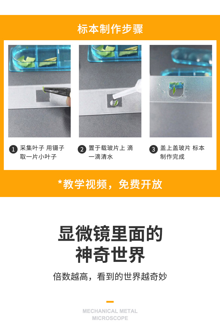 1000倍单目儿童显微镜学校生物实验变倍显微镜高倍高清显微镜详情8