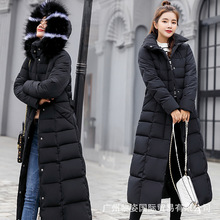 \2019¿ӺŮLLq޷mٴ