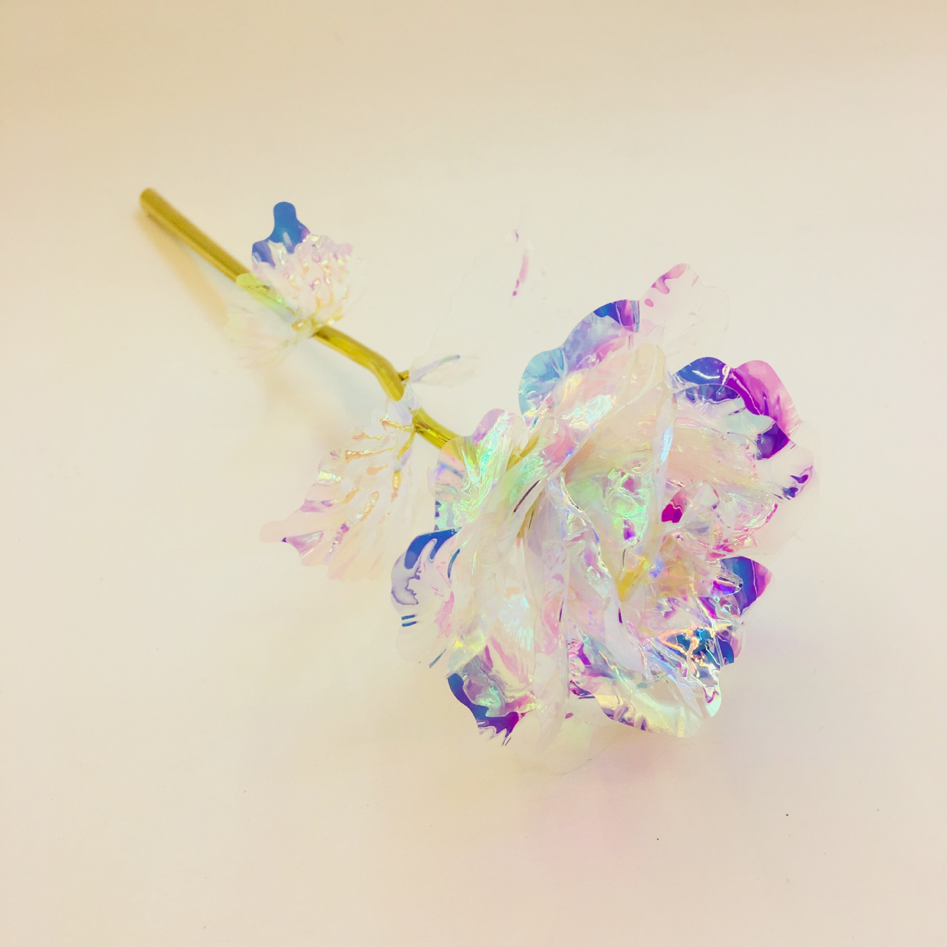 IMG_4977(20190330-045457)