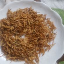 素馨花 素馨花品牌 图片 价格 素馨花批发 阿里巴巴
