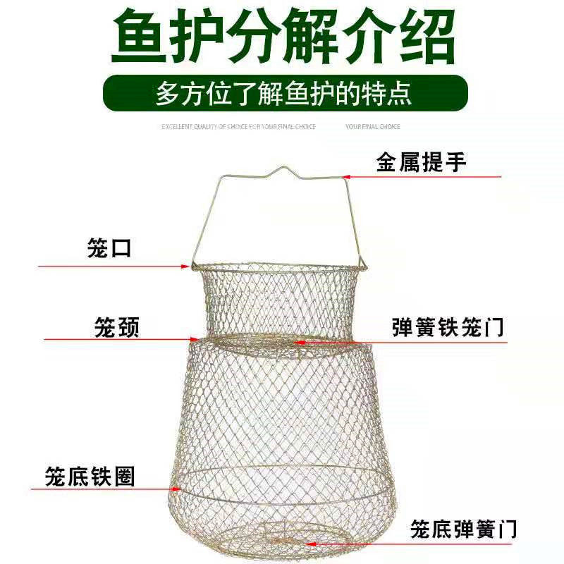 铁鱼护04