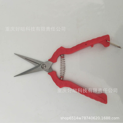 Manufactor stainless steel Cut fruits and vegetables Pruners Gardening shears Grape scissors Garden Tools