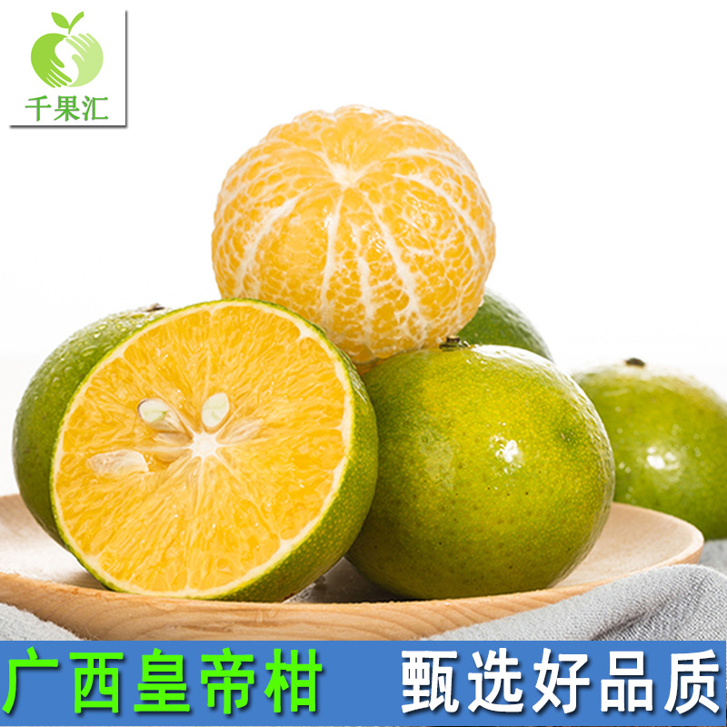 广西武鸣皇帝柑5斤一件代发 现摘新鲜时令水果贡柑青皮橘子蜜橙子|ru