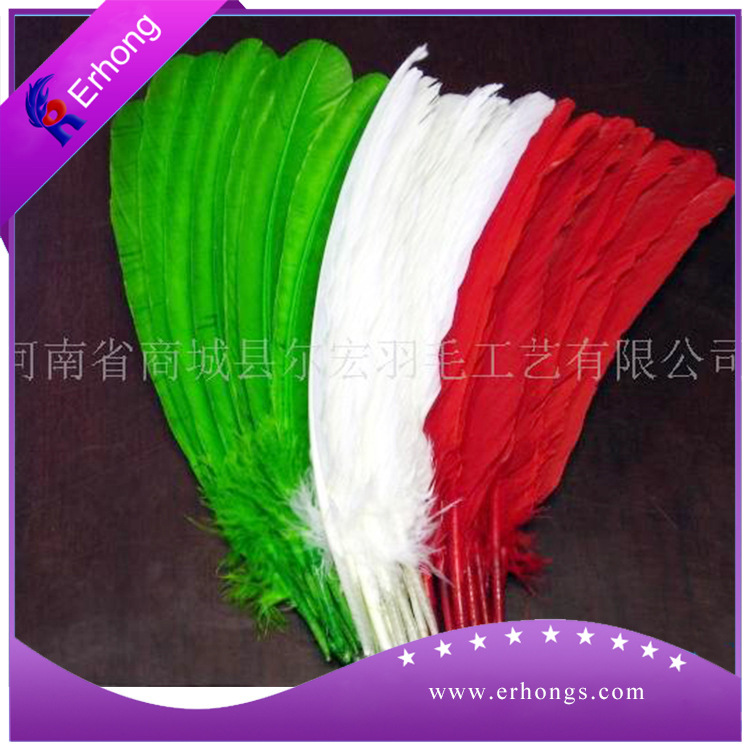 火鸡窝翎1.jpg