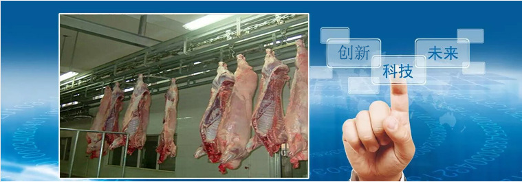 科技领先未来图猪.jpg