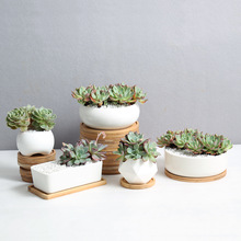 ����@ˇ�Ҿ������k���ҾGɫֲ��ڰ״���ʯ��ɫ�����մ�С����