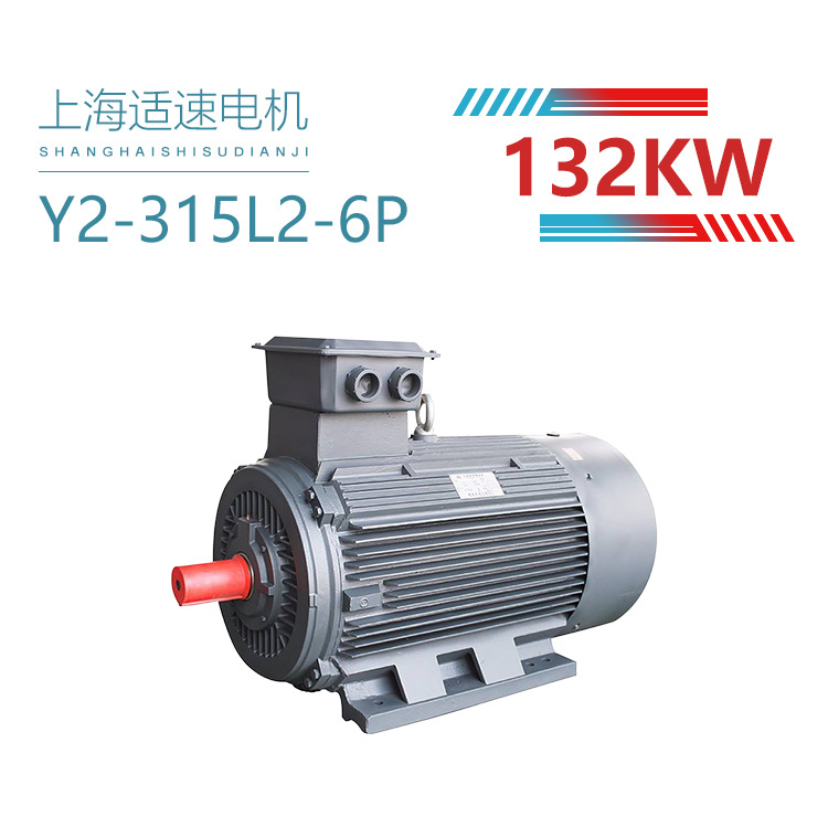 本公司现货供应Y2-315L2-6 132KW三相异步电动机 电动马达 铜心