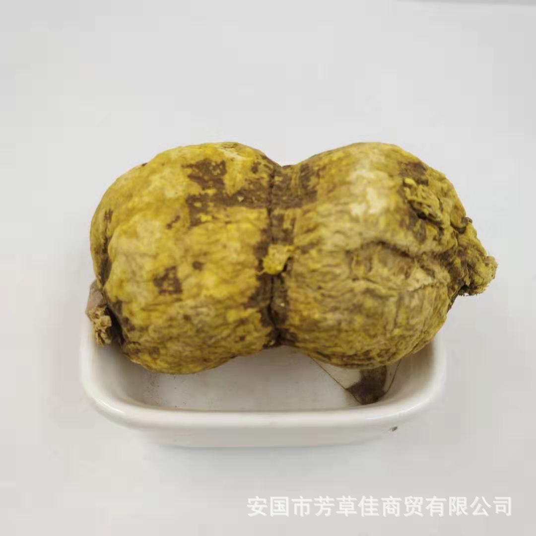 金果榄的别名及图片,金果榄图片,金果榄的别名(第3页)_大山谷图库