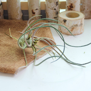 ��횷���ֲ����Gֲ�����ٿչ��S�쾰�����˿՚��Ř�ڒ��P�滨��