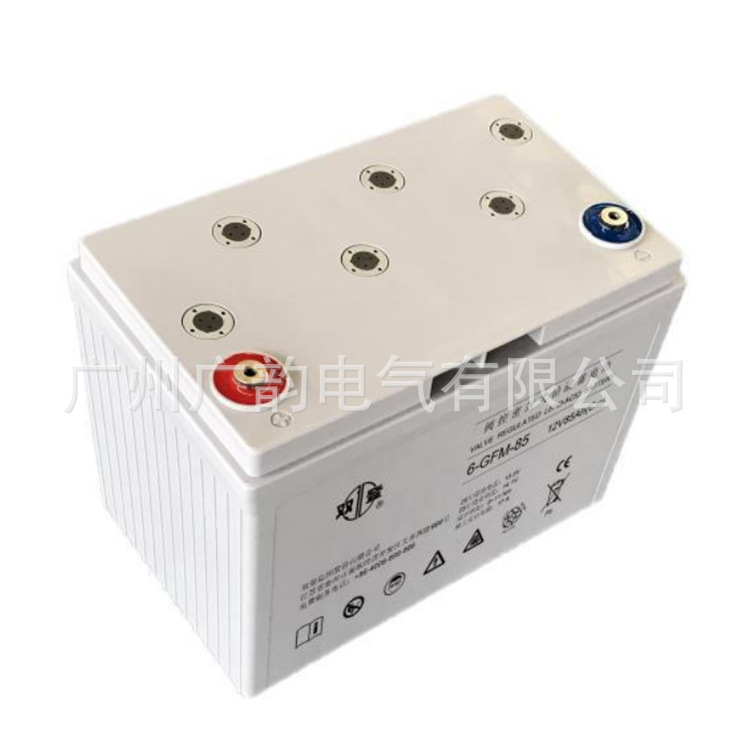 双登6-GFM-12V65AH铅酸免维护蓄电池UPS机房/应急照明直流屏