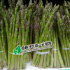 Asparagus seeds, asparagus seeds, vegetable seeds wholesale vegetable seed seed seeds sowing four seasons