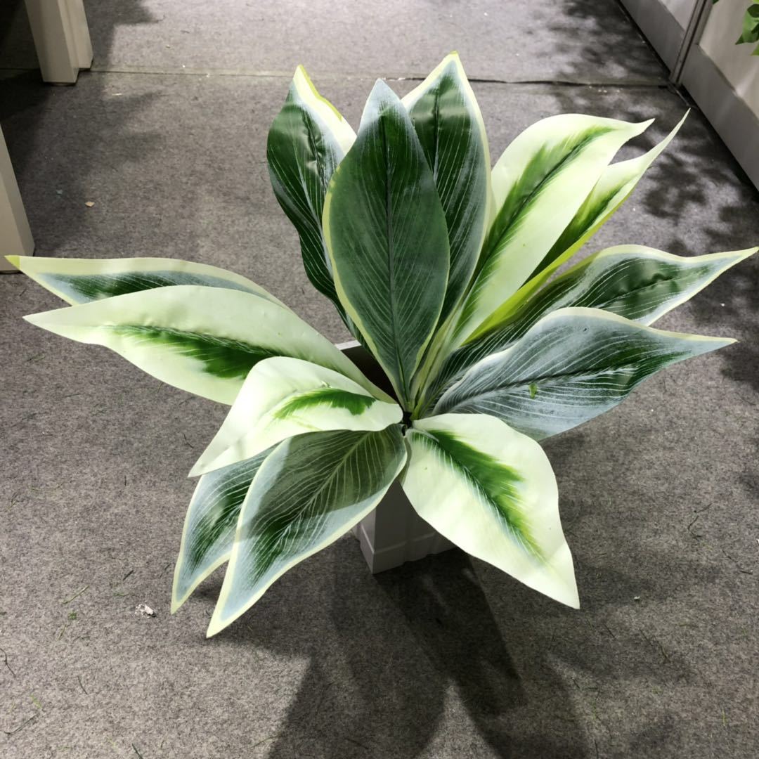 DIY artificial bird's nest fern, magnolia leaf, artificial plant wall accessories, small bonsai, green plants, hand-felt leaves, Brazilian wood detail image 14