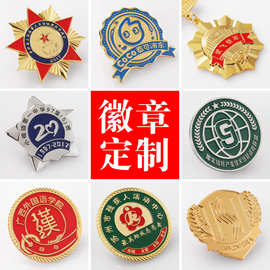 金属徽章胸章同人logo胸针卡通动漫勋章司徽校徽队徽班徽制作镀金