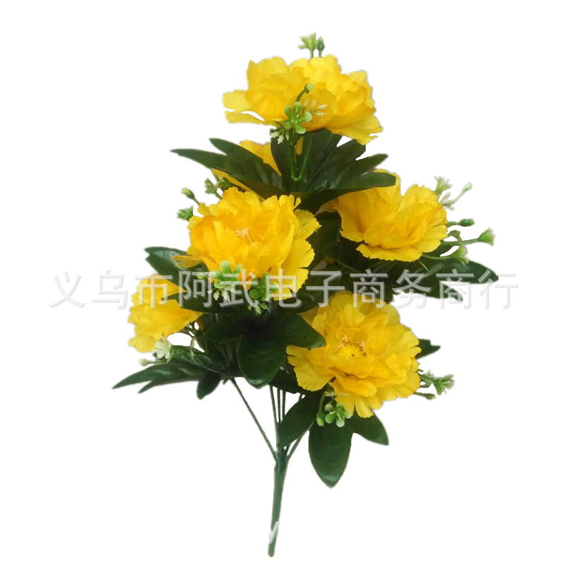 34f347fd964c97eaece2050f81dc44