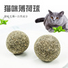 Pet grinding teeth clean food cat snack cat mint ball spot wholesale Hartli grass ball cat mint 6