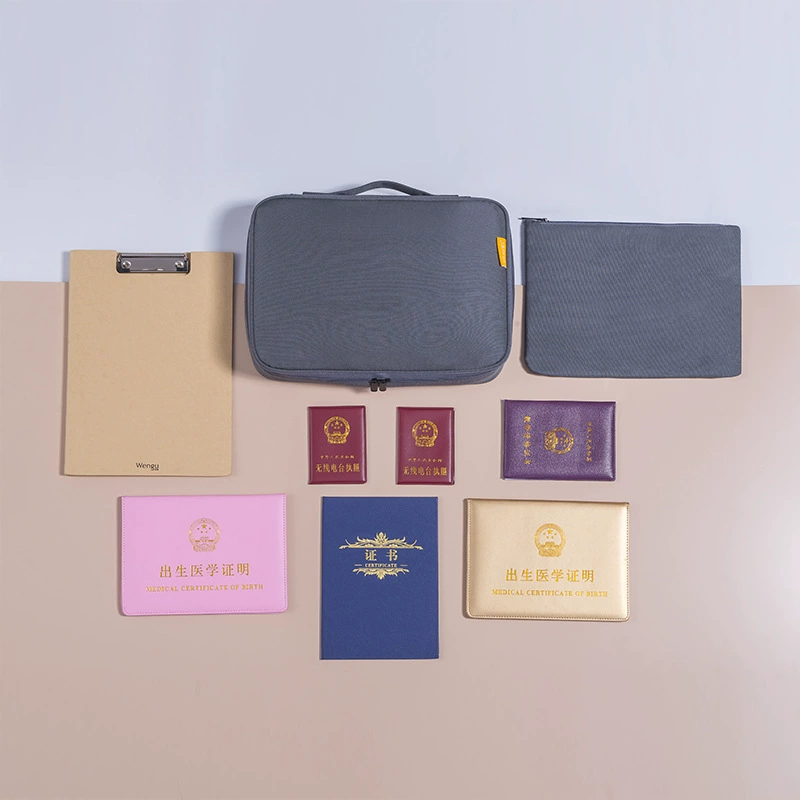 Handheld capacious organizer bag, universal card holder for documents
